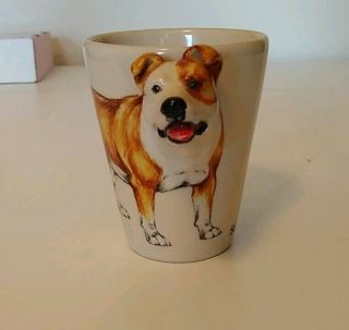 3 - D Staffordshire Bull Terrier Pit Bull Mug Bundle W/ Other Dog Items - Save $$$
