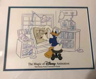 The Magic Of Disney Animation: Framed Donald Animating Cel