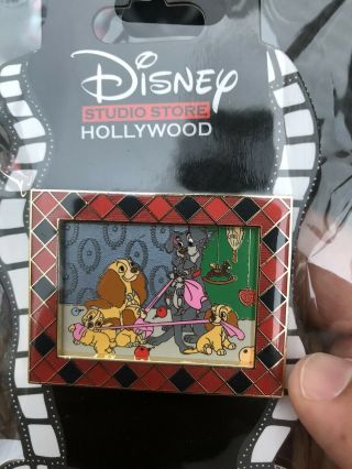 Disney Dssh Dsf Family Photo Pin - Lady And The Tramp Le300
