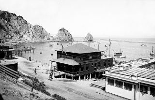 1900 - 1915 Tuna Club,  Avalon,  Catalina,  Ca Vintage Photograph 11 " X 17 " Reprint