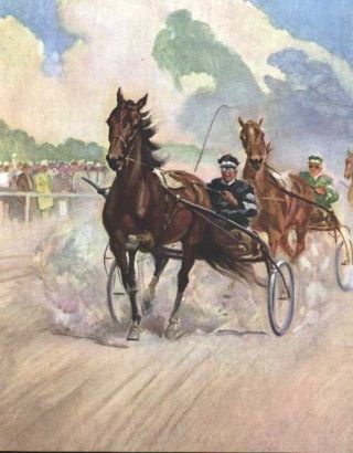 Standardbred Horse Print - 1951 W.  Dennis