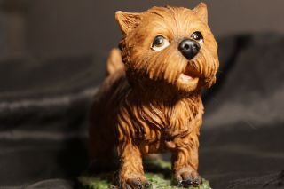 Brussels Griffon - Tender Times - Vintage Figurine