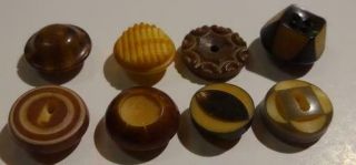 Group Of Small Vintage Carved Vegetable Ivory Buttons