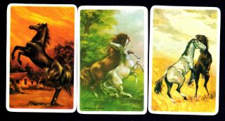 Vintage Swap Cards - Rearing Horses X 3 (blank Backs)