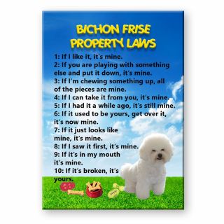 Bichon Frise Property Laws Magnet Steel Cased Dog Funny