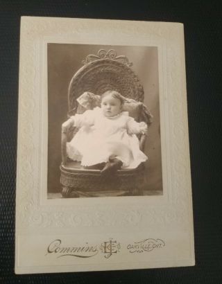 Vintage Photo Of Cool Baby In Chair Oakville Ontario