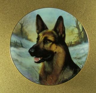 German Shepherds A Winter Friend Plate Dog John Lewis Fitzgerald Danbury