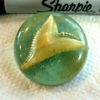 Vintage Lucite Paperweight Shark Tooth Button 1 3/8 "
