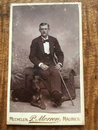 Cdv Man In Evening Dress W Belgian Shepherd Dog C.  1880s Cdv Photograph