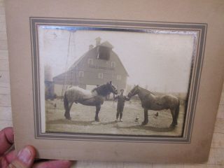 Antique Photograph Maple Grove Farm,  Men With Horses,  Barn,  Possibly Indiana