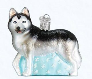 Old World Christmas Siberian Husky Dog Glass Ornament 12489 Box Pet