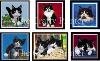 Set Of Six - Tuxedo Cat Magnets -