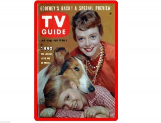 Lassie Tv Guide June Lochart 1960 Refrigerator / Tool Box Magnet
