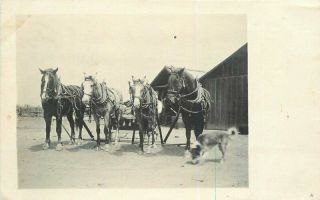 C - 1910 Farm Agriculture Horses Wagon Dog Rppc Photo Postcard 8082