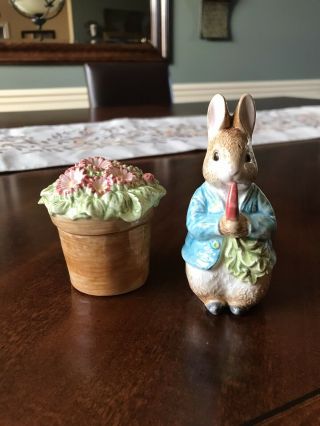 Peter Rabbit Salt And Pepper Shakers The World Of Beatrix Potter