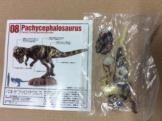 Uha Kaiyodo Dinotales 5 Pachycephalosaurus A Dinosaur Figure Rare