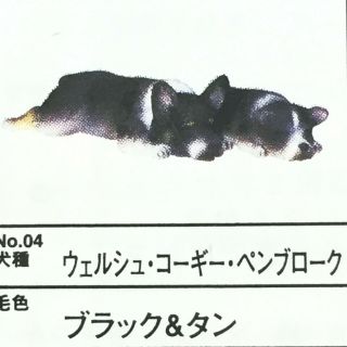 Yujin Dog Gashapon Mini Figure Pembroke Welsh Corgi Black And Tan Import Japan