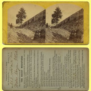 1870s Stereoview,  Weber Canyon Utah 1,  000 Mile Tree & Railroad Tracks