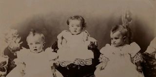 Victorian 3 Baby Girls Triplets Cabinet Card Photo Buffalo Ny