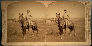 Stereoview Of Col.  Roosevelt Of Rough Riders On Horse After Return From Cuba