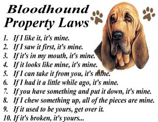 Parchment Print = Bloodhound Dog Breed " Funny & True " Property Laws Framable Art