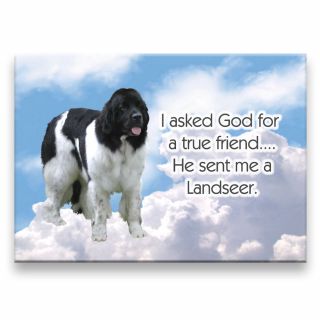 Landseer True Friend From God Fridge Magnet Dog
