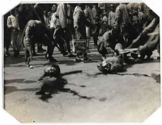 Weird Decapitate Head - Murder,  Execution - 1920s