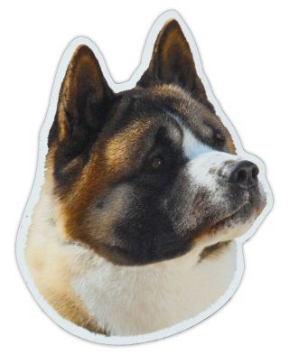 Magnetic Bumper Sticker - Akita Dog Breed Picture Magnet - Cars,  Trucks,  Suvs