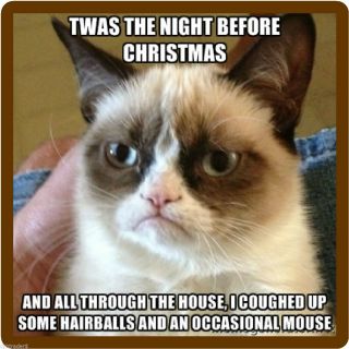 Funny Grumpy Cat Night Before Christmas Refrigerator / Locker Magnet