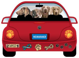 Weimaraner Pupmobile Car Magnet