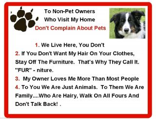 Funny Dog Border Collie House Rules Refrigerator / Magnet Gift Card Idea