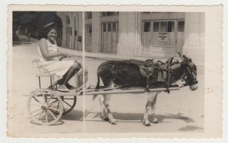 1930s Pretty Young Woman Teen Rides Donkey Lady Girl Old Photo