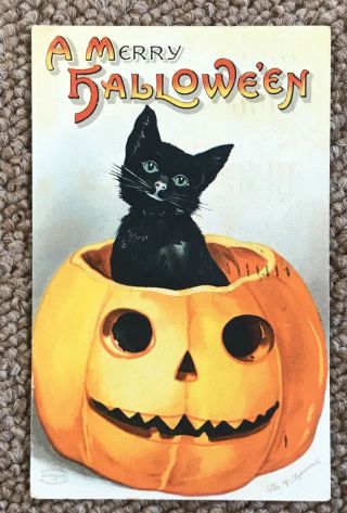 Black Cat Sits In Jol On Halloween 