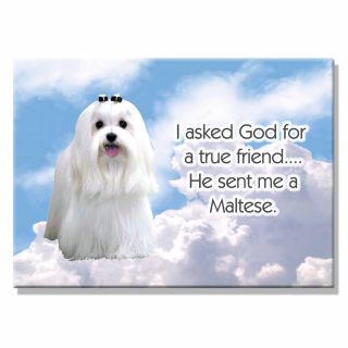 Maltese True Friend From God Fridge Magnet Dog