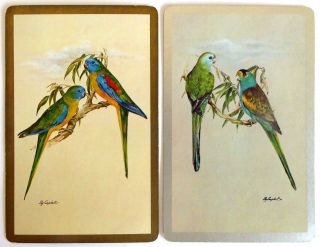 Pair Vintage Swap Cards.  Australian Parrots.  Artist Peg Campbell C1978 Congress