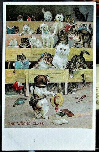 Louis Wain By Ernest Nister.  No.  355.  (v) " The Wrong Class " 1903