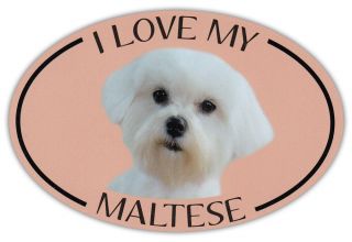 Oval Dog Breed Picture Car Magnet - I Love My Maltese - Bumper Sticker Decal
