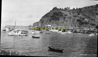 Early 1900s Catalina Island Avalon California Photo Negative