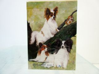 Papillon Playing Cards Poler Card Set By Ruth Maystead Papillons