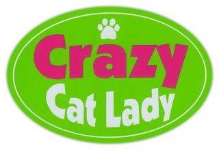 Oval Car Magnet - Crazy Cat Lady - I Love Cats - Bumper Sticker Decal