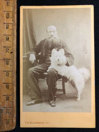 G Antique 1800s Stockwin Birmingham Spitz Dog Victorian B&w Photo Cabinet Card