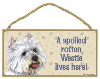 Westie Spoiled Rotten Lives Here Sign Plaque Dog 10 " X 5 " Wood Gift