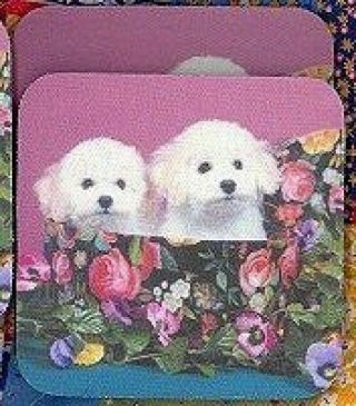 Bichon Frise Puppies Rubber Backed Coasters 0627
