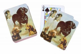 Dachshund Dog Poker Playing Cards Set Of Card Ruth Maystead 4 Dachshunds