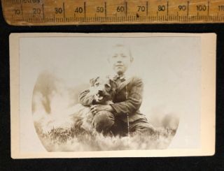F Antique 1860s Victorian Boy & Long Hair Terrier Dog B&w Cdv Photo Cabinet Card