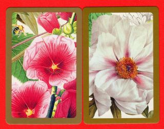 2 Single Vintage Swap/playing Card Flowers Morning Glory Magnolia 59