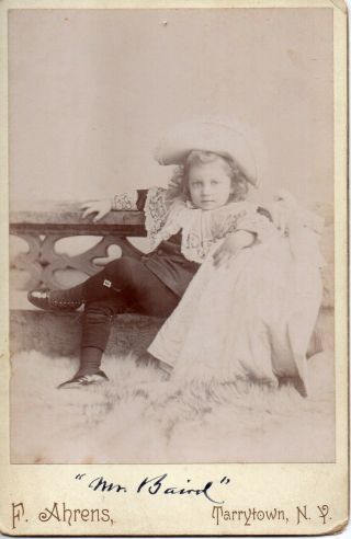 64254.  Cab Photo Alfred Clark Sumner Baird Aged 3 Yrs Tarrytown,  Ny Little Lord
