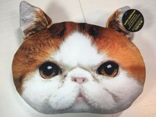 Adorable Expressions Plush Exotic Shorthair Cat Pillow