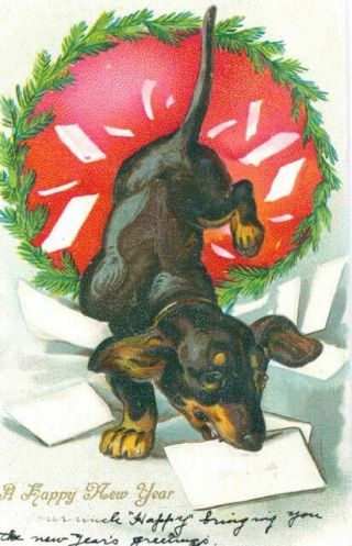 Vintage Happy Year Dachshund Dog Postcard Pc Usa C1910 Embossed