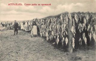 Russia - Astrakhan - Drying Fish.
